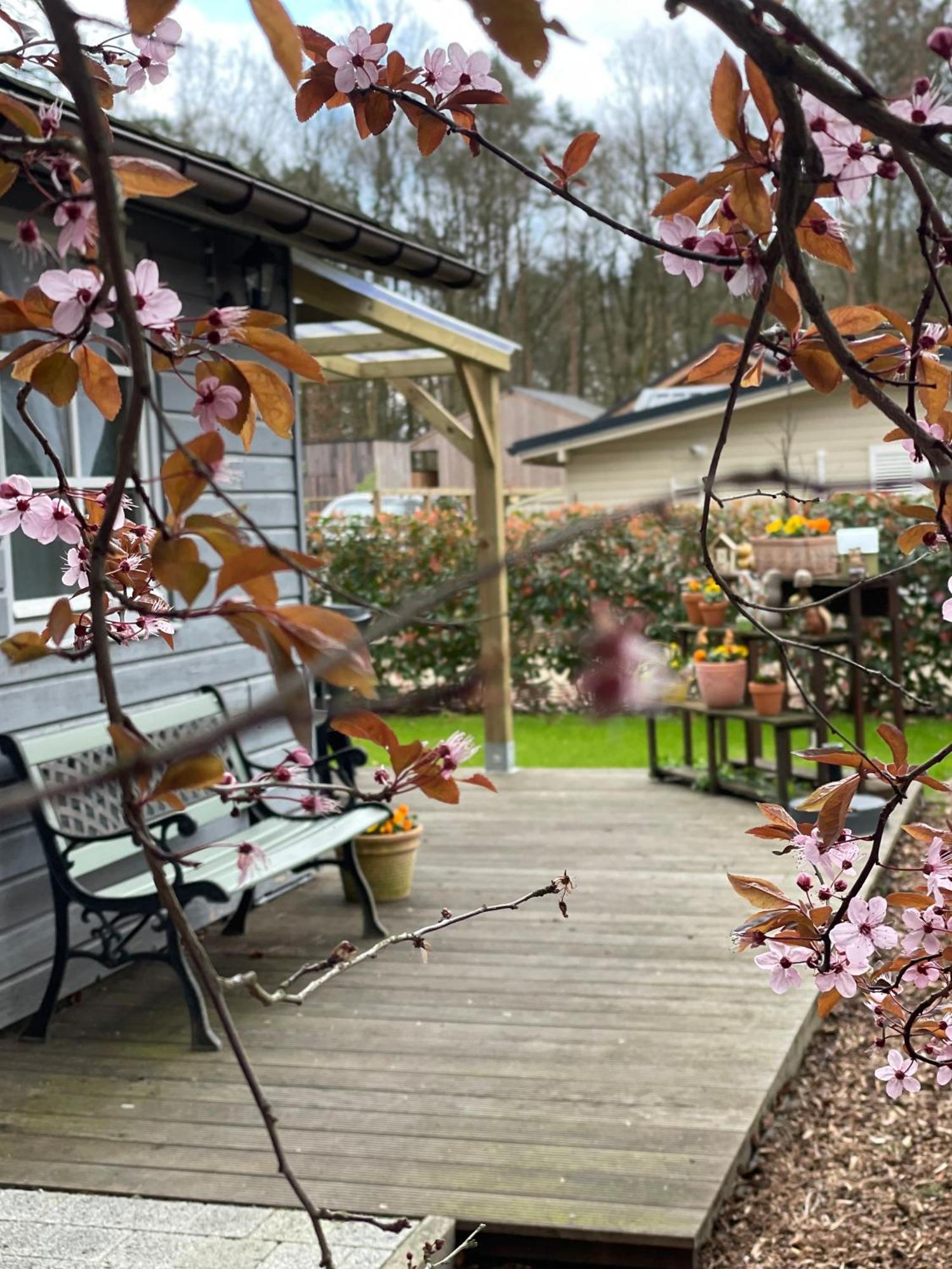 Chalet Sint-Hubertus Du Bois Zutendaal Buitenkant foto