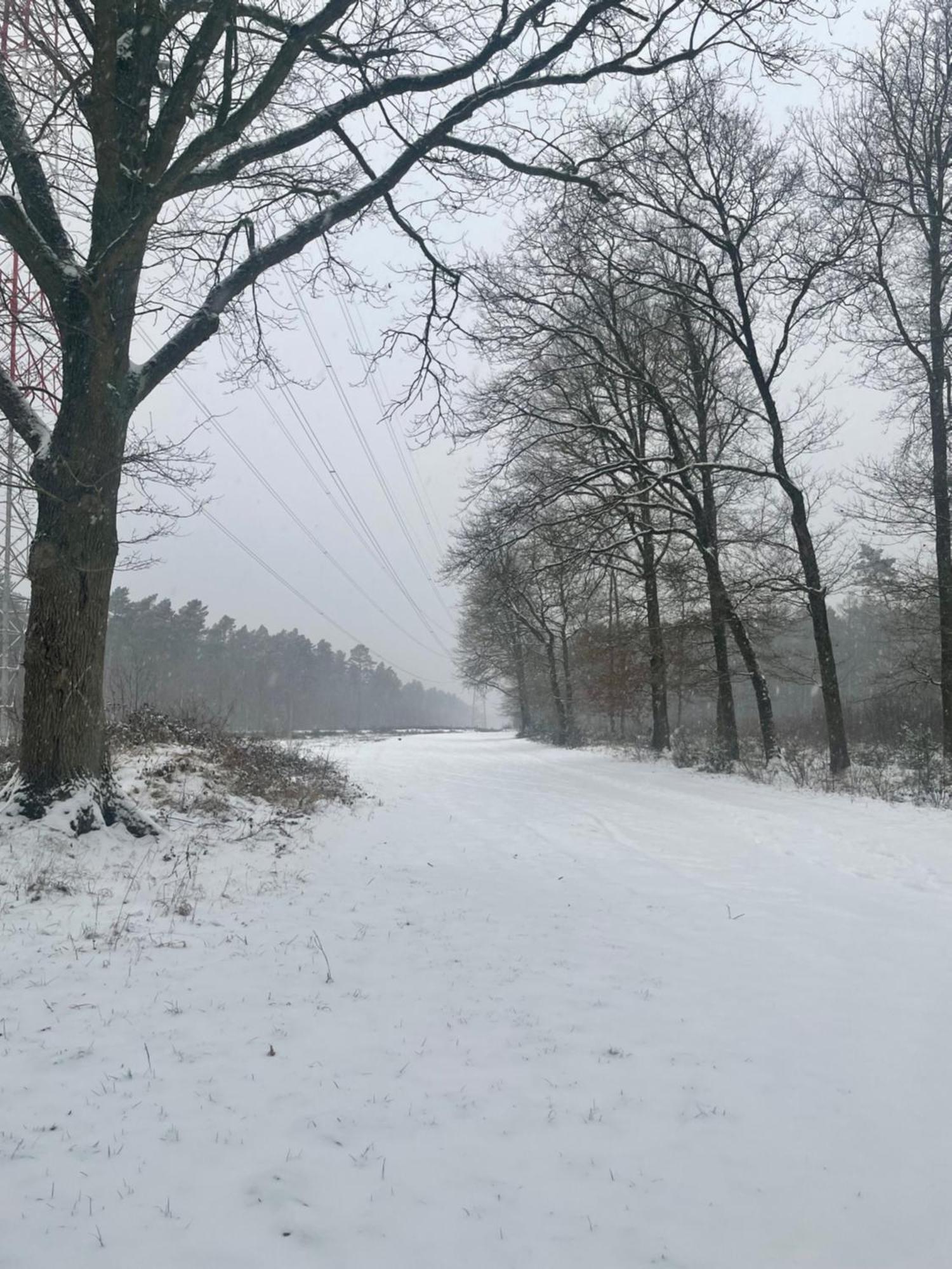 Chalet Sint-Hubertus Du Bois Zutendaal Buitenkant foto