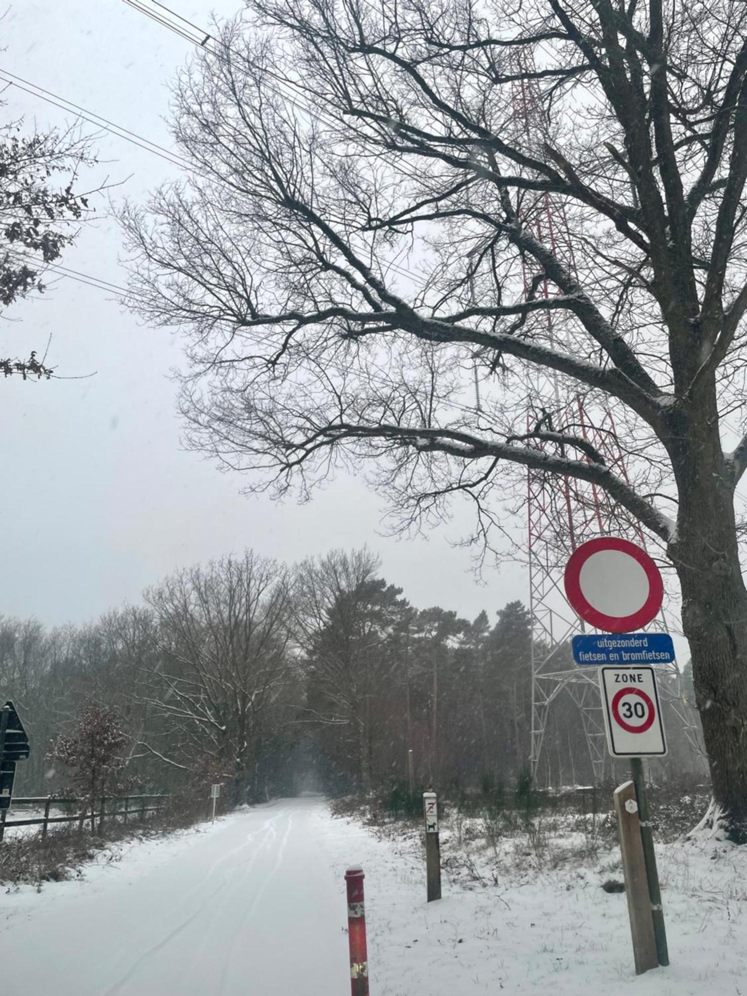 Chalet Sint-Hubertus Du Bois Zutendaal Buitenkant foto