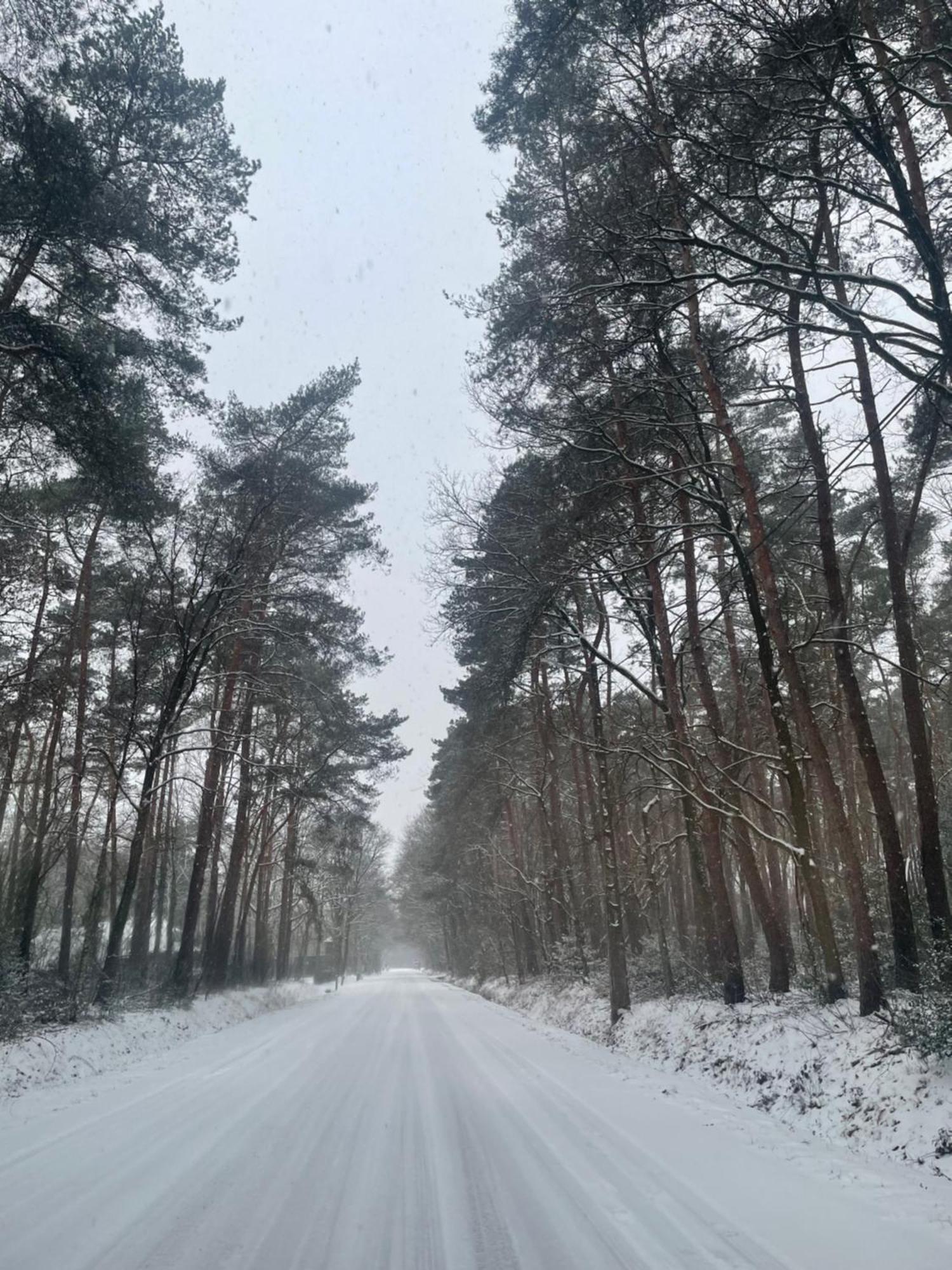 Chalet Sint-Hubertus Du Bois Zutendaal Buitenkant foto